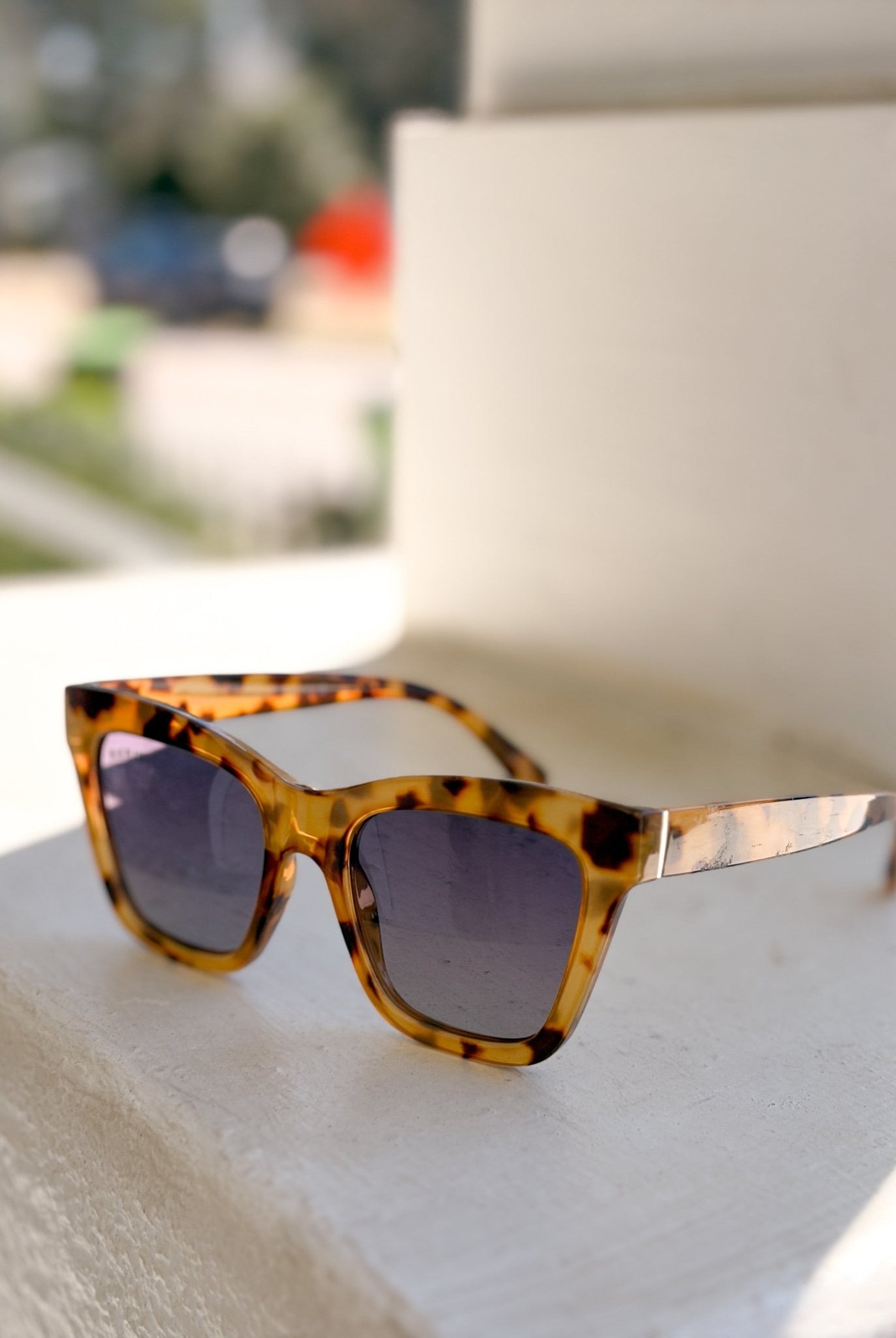 Rose & Lee Co Mari Sunglasses, Onyx/Tortise/Gradient Brown Accessories