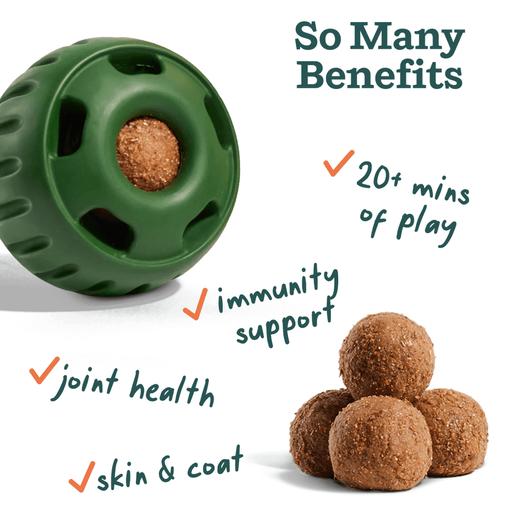 Rose & Lee Co All - in - 1 Wellness Small Pops, Peanut Butter & Beef Flavor Pets