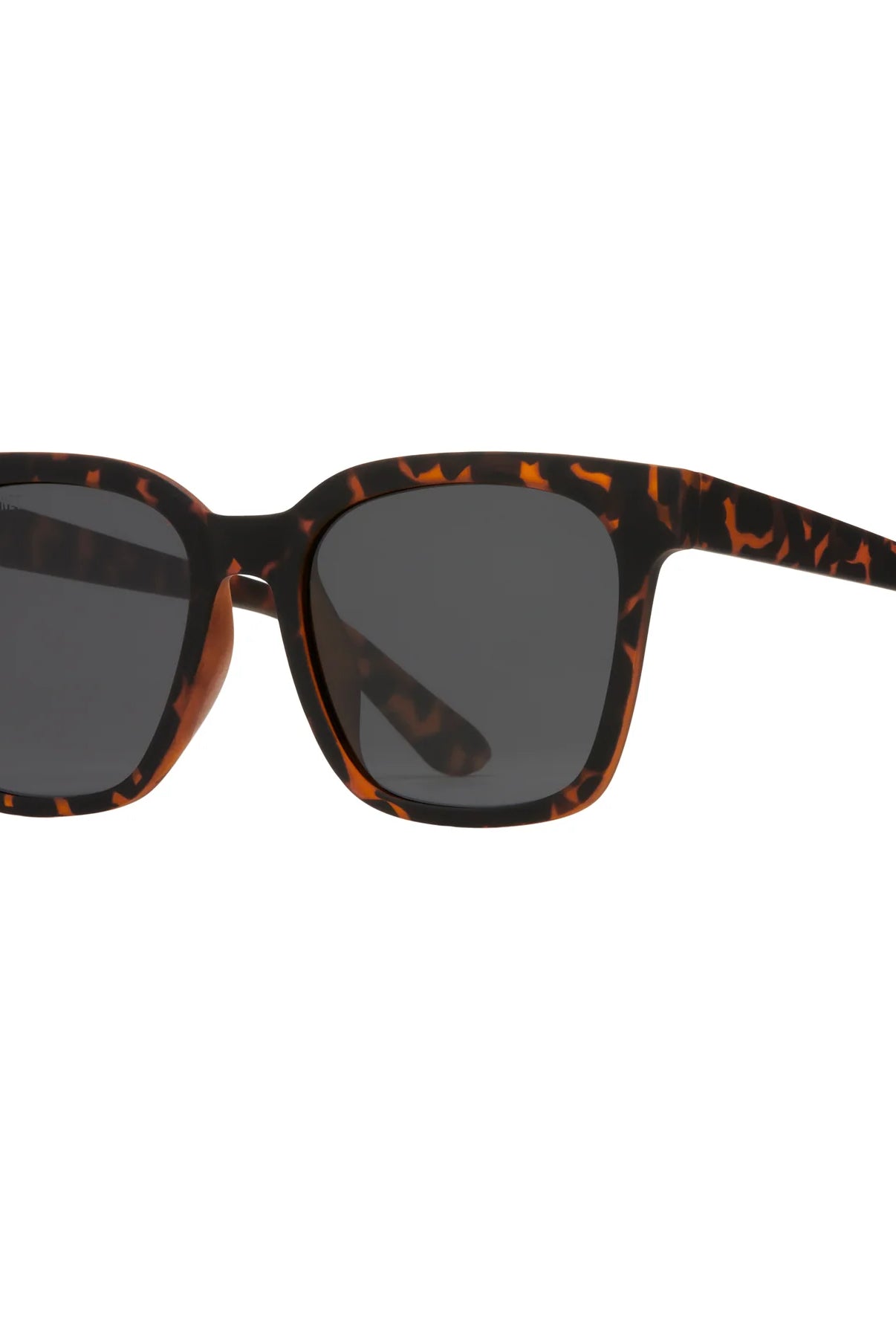 Brown Tortoise Sunglasses Apex Ethical Boutique