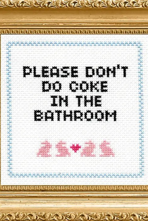 Rose & Lee Co Deluxe Cross Stitch Kit, Please Don't Do Coke In The Bathroom Home & Gifts