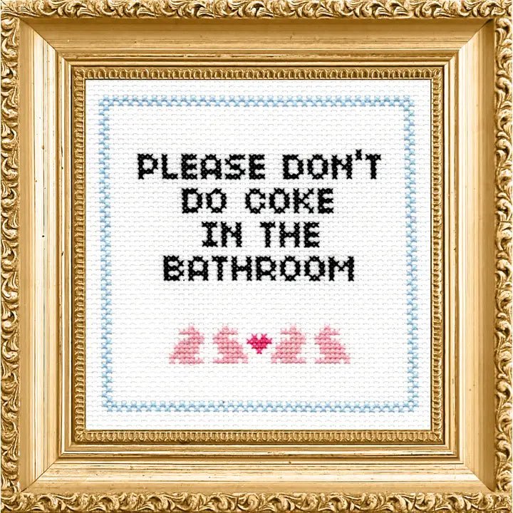Rose & Lee Co Deluxe Cross Stitch Kit, Please Don't Do Coke In The Bathroom Home & Gifts