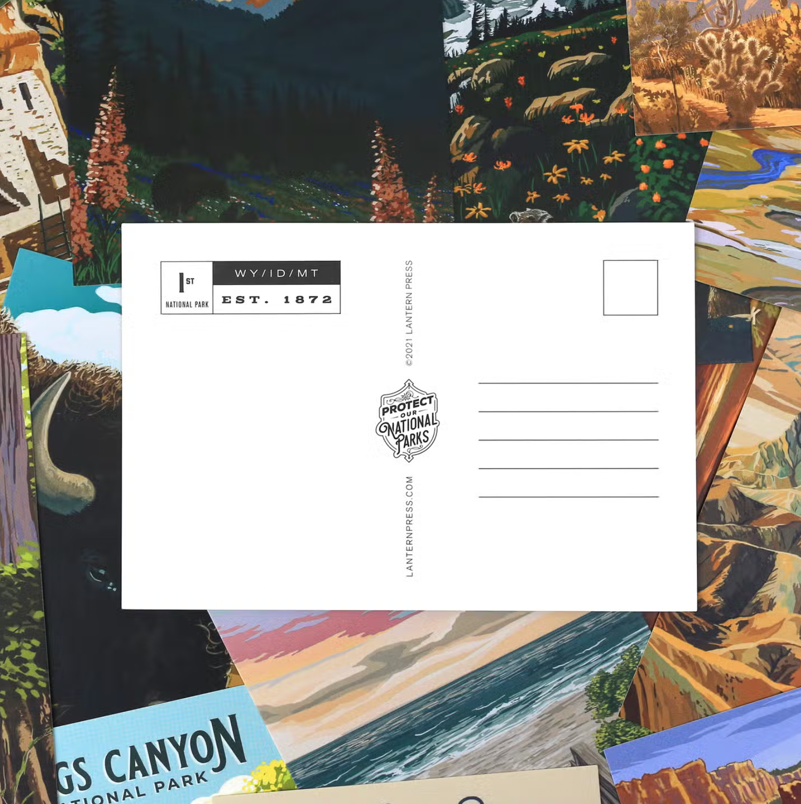 Postcard Box Set, Protect Our National Parks Apex Ethical Boutique