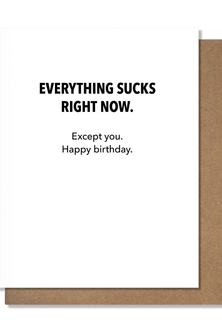 Rose & Lee Co Everything Sucks Birthday Card Stationery