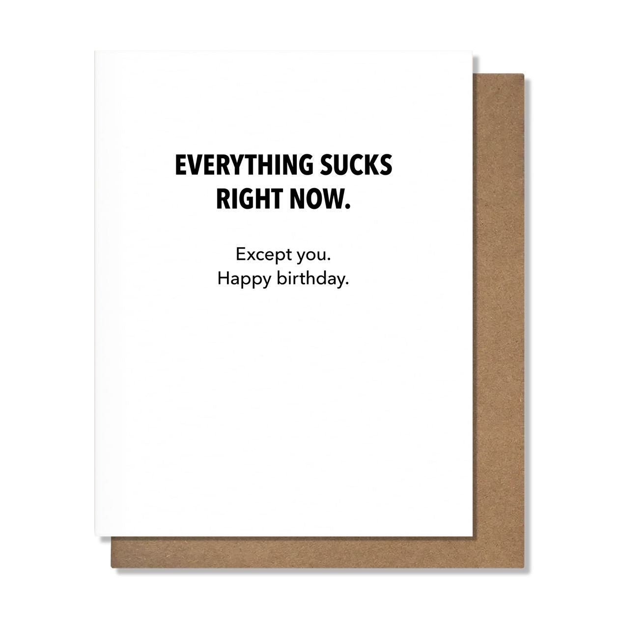 Rose & Lee Co Everything Sucks Birthday Card Stationery