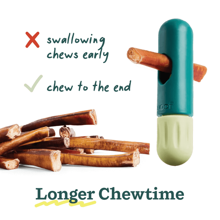 Rose & Lee Co The BullySafe Pets