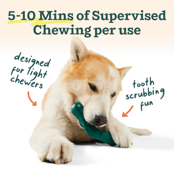 Rose & Lee Co The Bite n' Brush, Large Pets