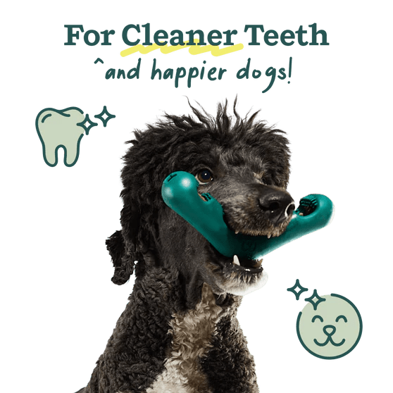 Rose & Lee Co The Bite n' Brush, Large Pets