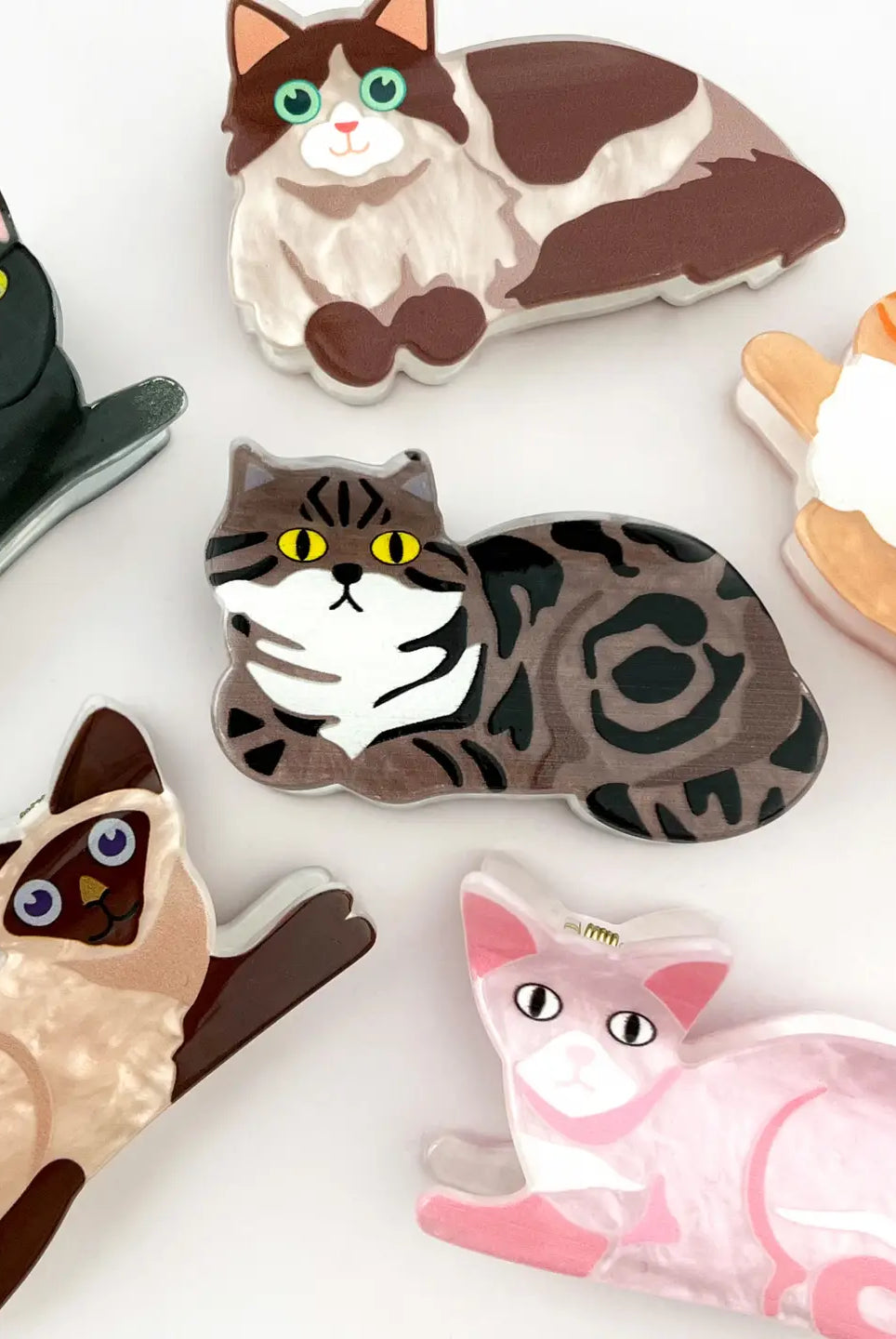 Rose & Lee Co Cat Claw Clip, Assorted Accessories