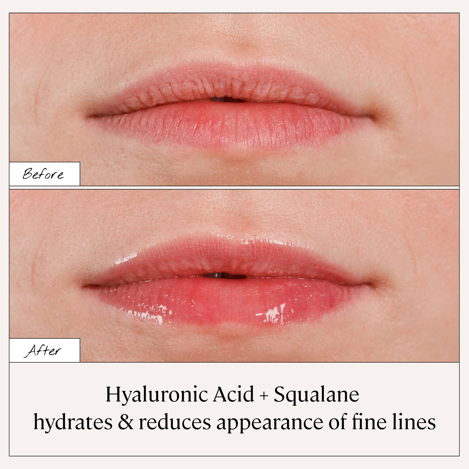 Rose & Lee Co Lip Serum, Dream Bath & Body