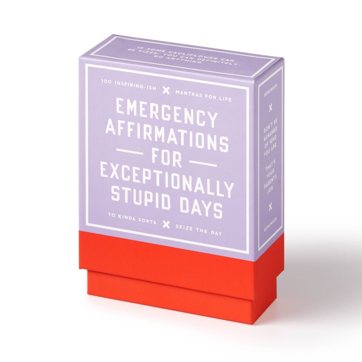 Rose & Lee Co Emergency Affirmations For Exceptionally Stupid Days Card Deck Home & Gifts