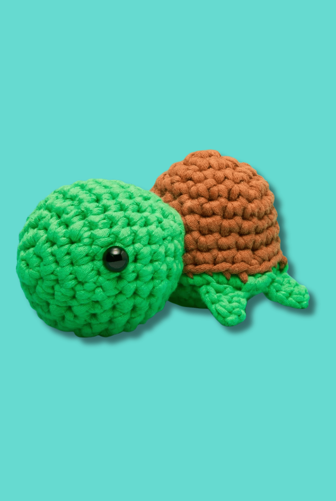 Rose & Lee Co Emilio the Turtle Crochet Kit Home & Gifts