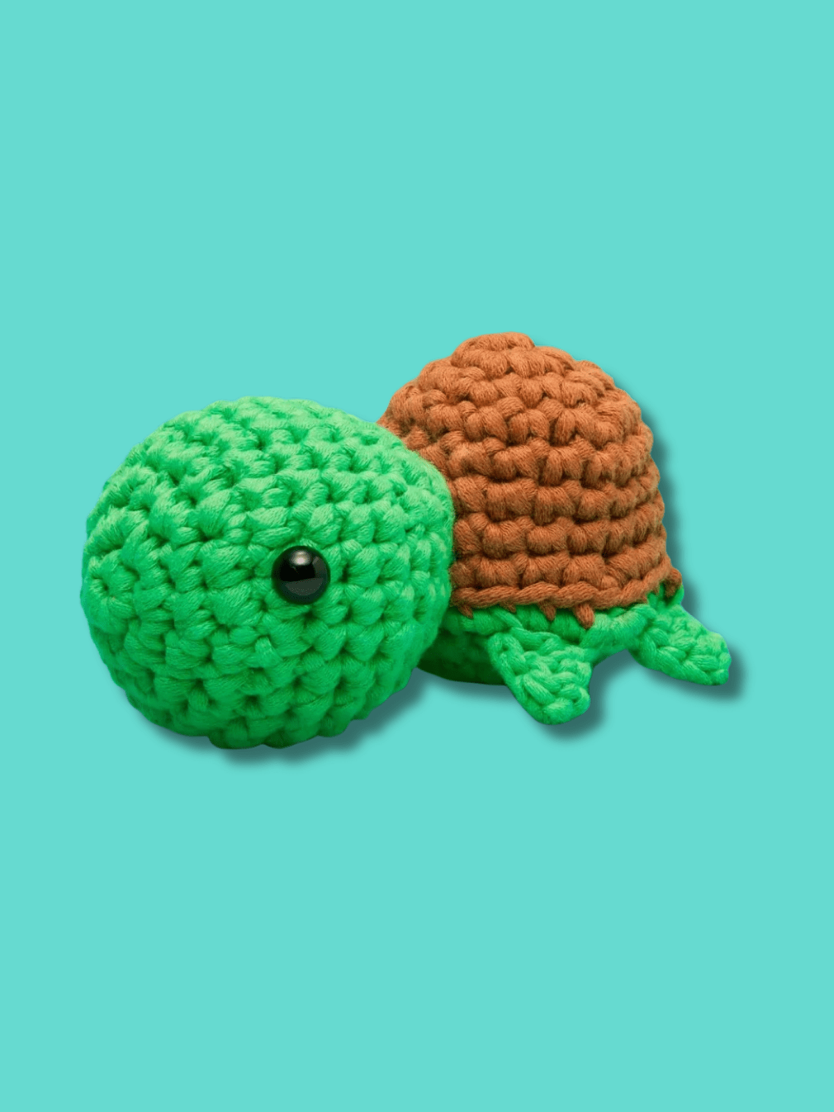 Rose & Lee Co Emilio the Turtle Crochet Kit Home & Gifts