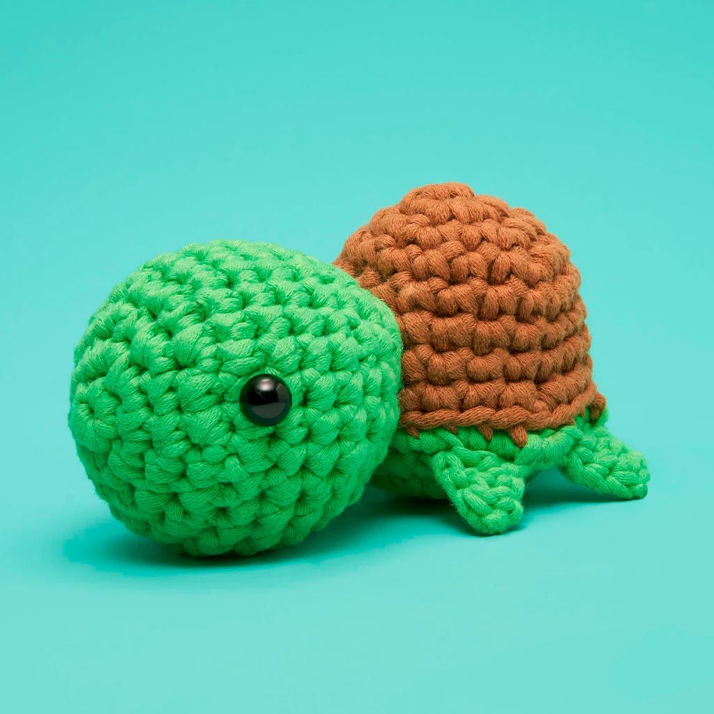 Rose & Lee Co Emilio the Turtle Crochet Kit Home & Gifts