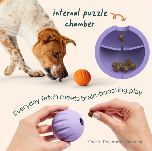 Rose & Lee Co Flyball 3 Pack Pets