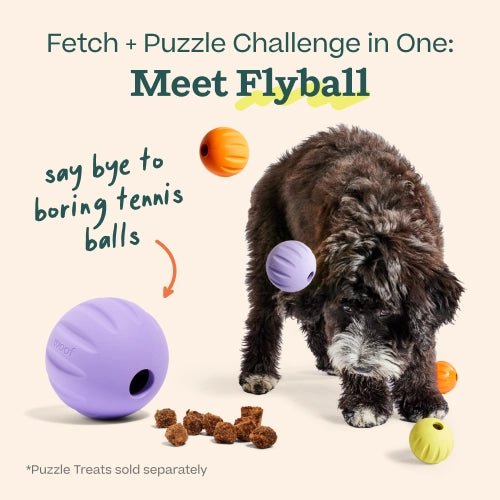 Rose & Lee Co Flyball 3 Pack Pets