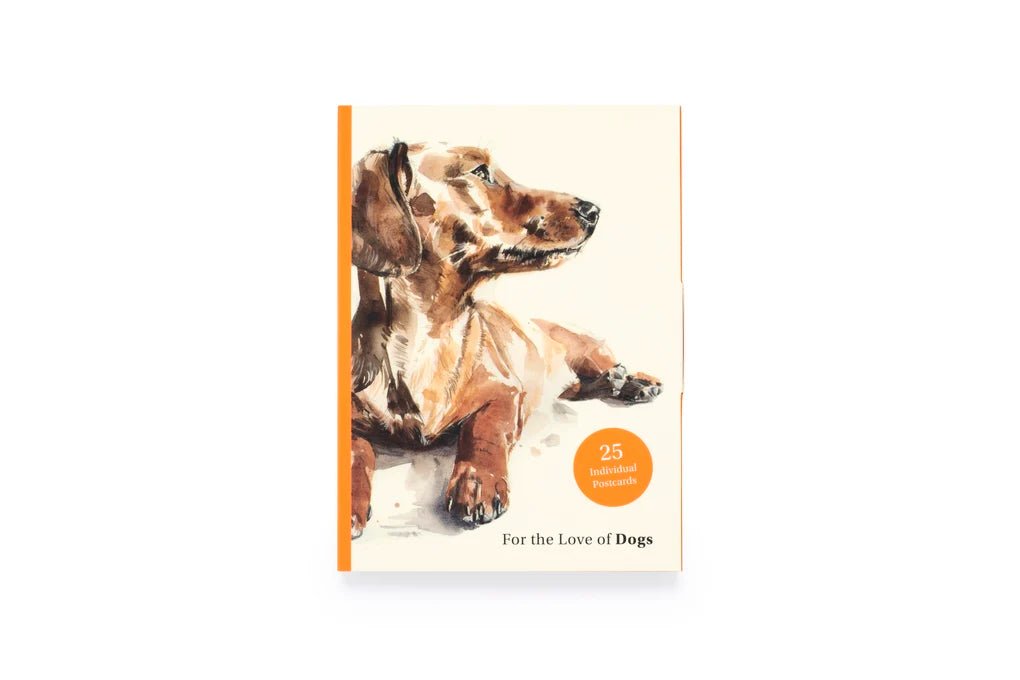 Rose & Lee Co For the Love of Dogs 25 Postcards Home & Gifts
