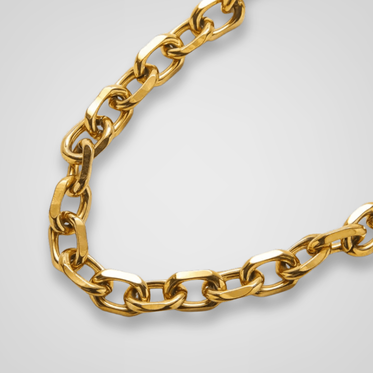 Rose & Lee Co Gold Chunky Cable Chain Necklace Necklaces