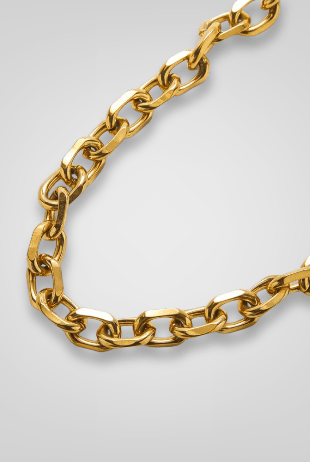 Rose & Lee Co Gold Chunky Cable Chain Necklace Necklaces