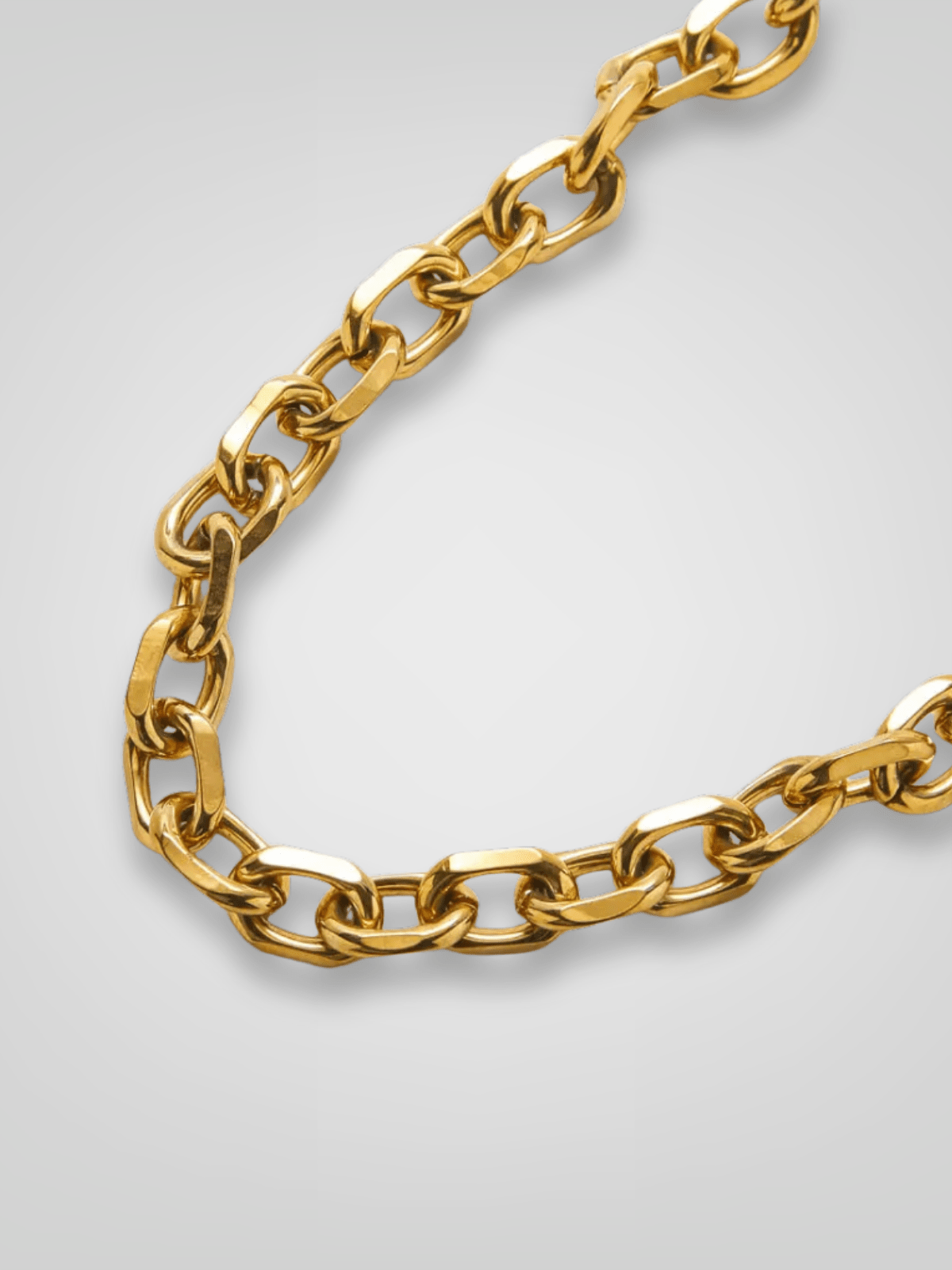 Rose & Lee Co Gold Chunky Cable Chain Necklace Necklaces