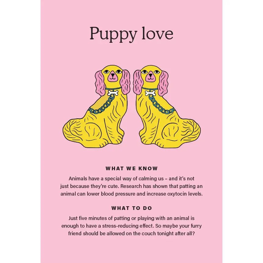 Rose & Lee Co The Happiness Chemicals Card Deck Home & Gifts