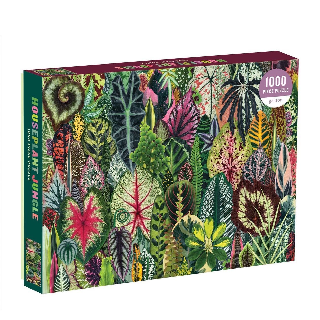 Rose & Lee Co Houseplant Jungle 1000 Piece Puzzle Home & Gifts