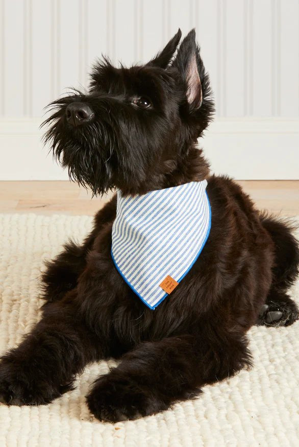 Rose & Lee Co The Foggy Dog Bandana, Lake Blue Stripe Pets