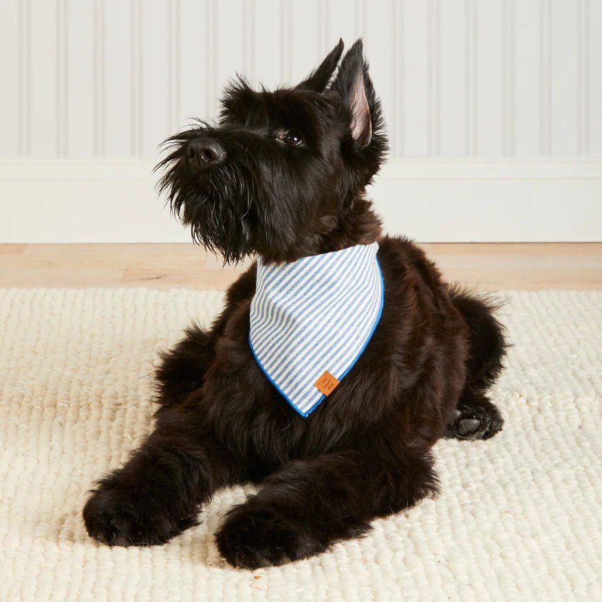 Rose & Lee Co The Foggy Dog Bandana, Lake Blue Stripe Pets