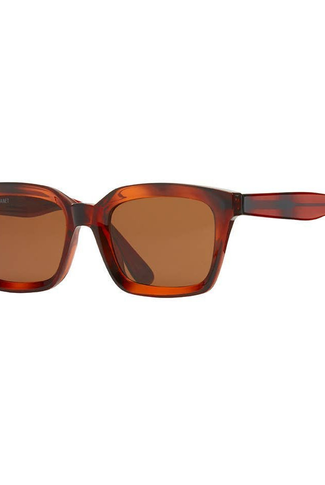 Rose & Lee Co Lawson Sunglasses, Crystal Brown + Brown Polarized Accessories