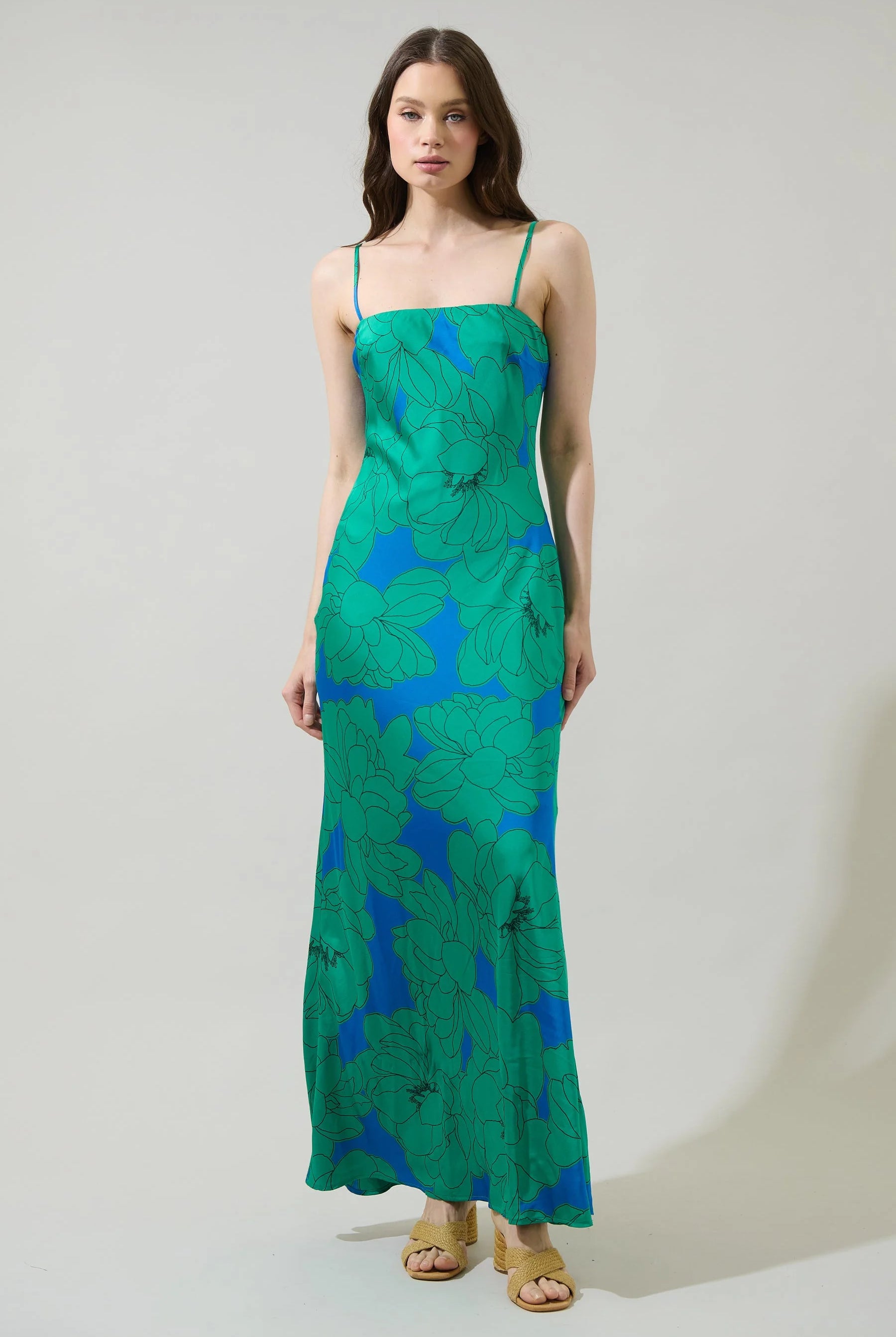 Blue/Green Floral Sleeveless Maxi Dress