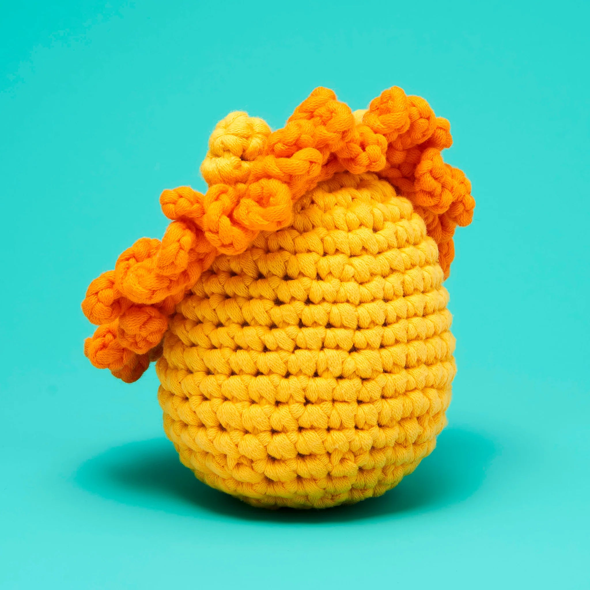 Sebastian The Lion Beginner Crochet Kit