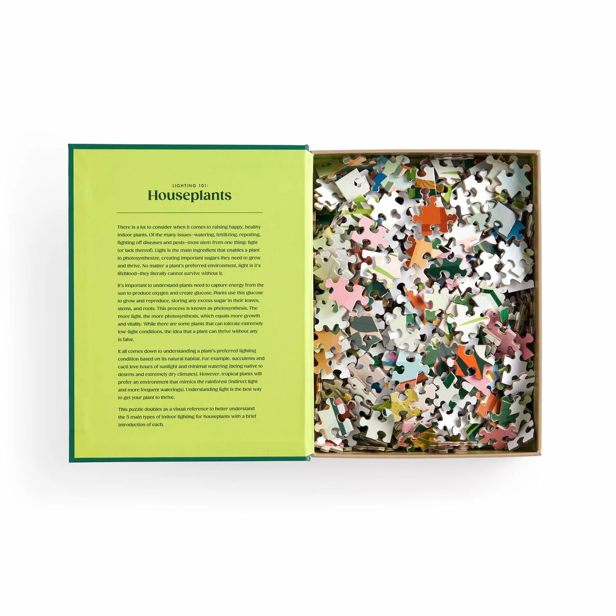 Rose & Lee Co Lighting 101: Houseplants 500 Piece Puzzle Home & Gifts