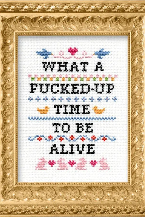 Rose & Lee Co Deluxe Cross Stitch Kit, What A F*cked Up Time To Be Alive Home & Gifts