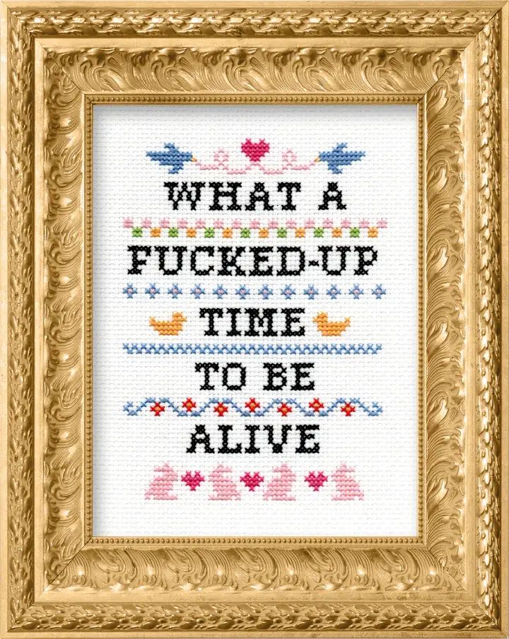 Rose & Lee Co Deluxe Cross Stitch Kit, What A F*cked Up Time To Be Alive Home & Gifts
