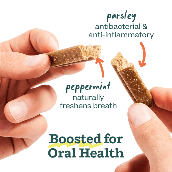 Rose & Lee Co Bite n' Brush Dental Refills, Chicken Recipe Pets