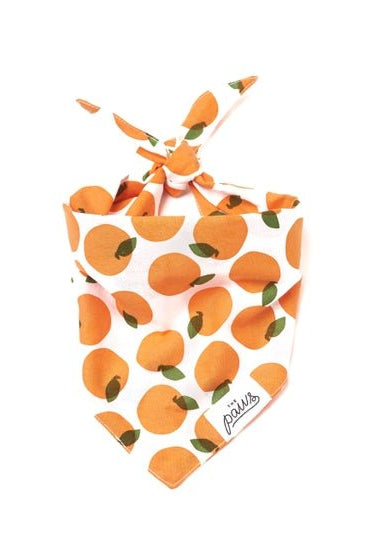 Rose & Lee Co Pet Bandana, Fresh Pick (XS) unknown