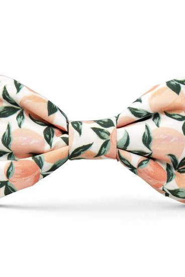 Rose & Lee Co The Foggy Dog Bow Tie, Peaches and Cream Pets