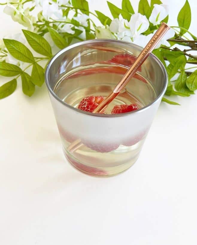 Rose & Lee Co Reusable Cocktail Straw Set unknown