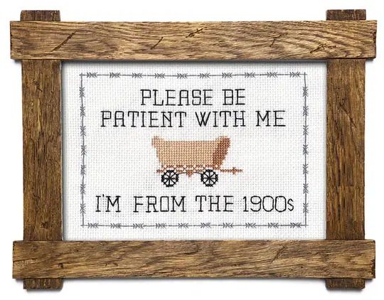 "Please Be Patient With Me" Cross Stitch Kit