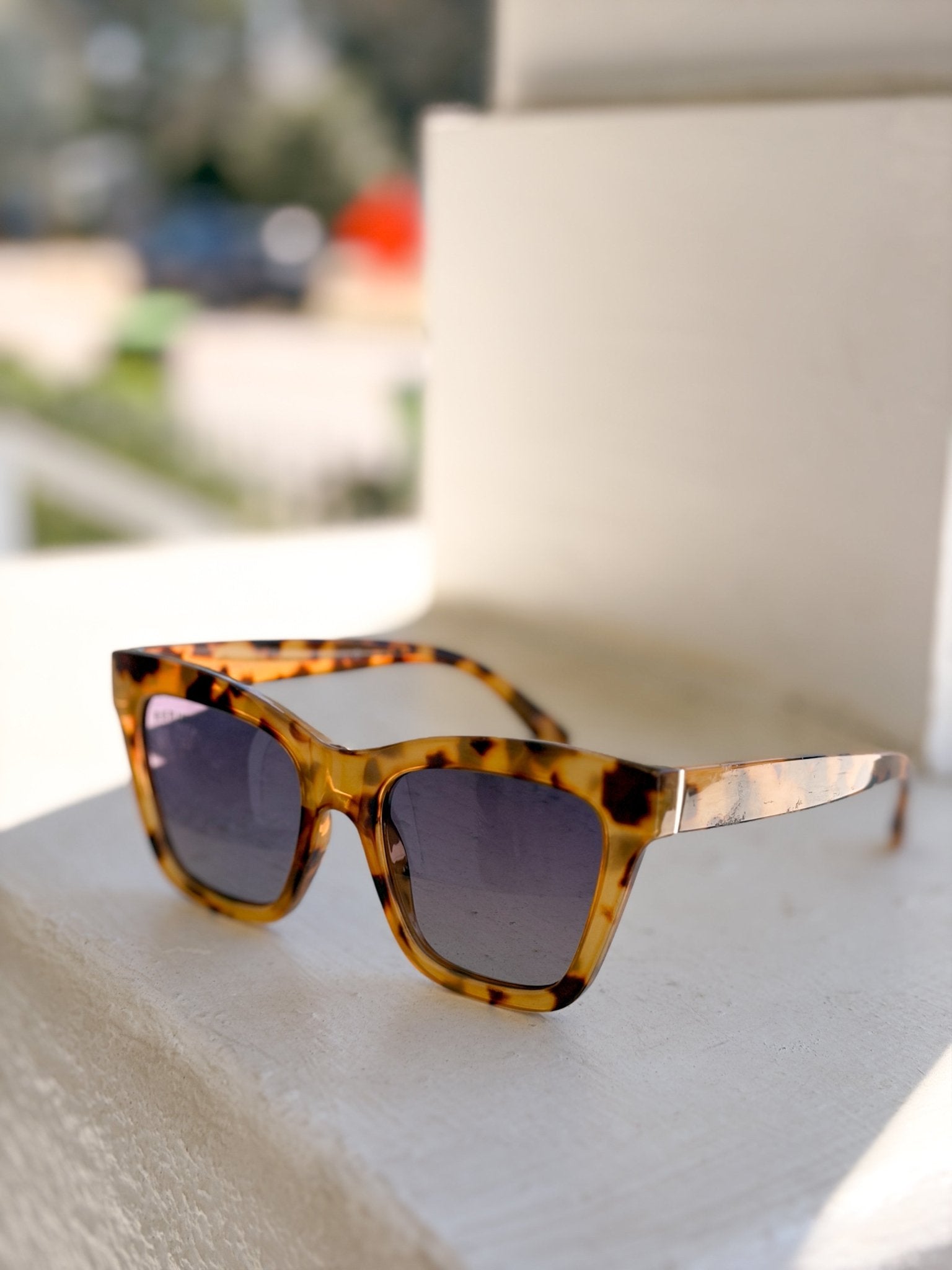 Rose & Lee Co Mari Sunglasses, Onyx/Tortise/Gradient Brown Accessories