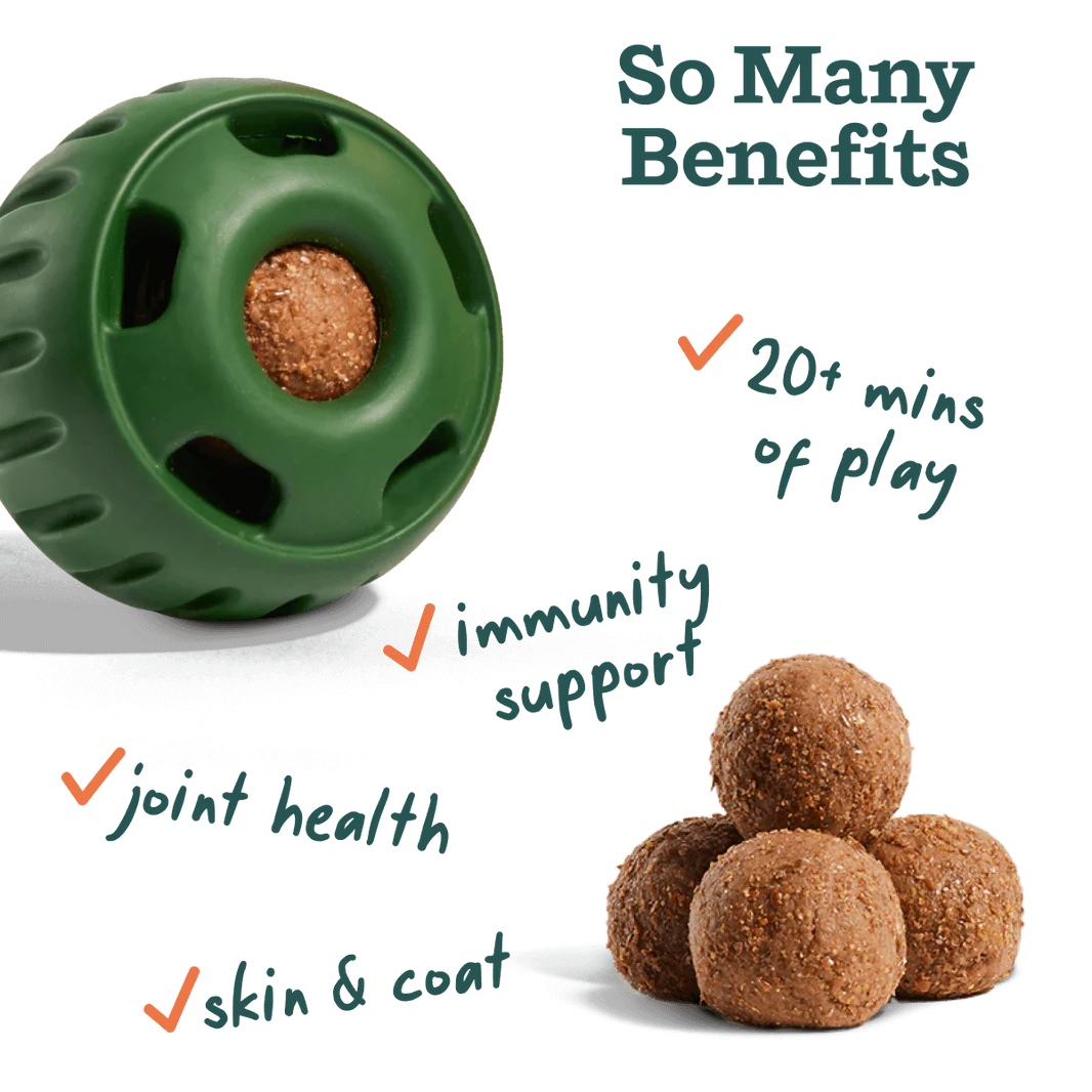 All-in-1 Wellness Large Pops, Peanut Butter & Beef Flavor