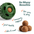 All-in-1 Wellness Large Pops, Peanut Butter & Beef Flavor