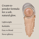 Rose & Lee Co Cream Highlighter, Champagne Bath & Body