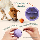Rose & Lee Co Flyball 3 Pack Pets