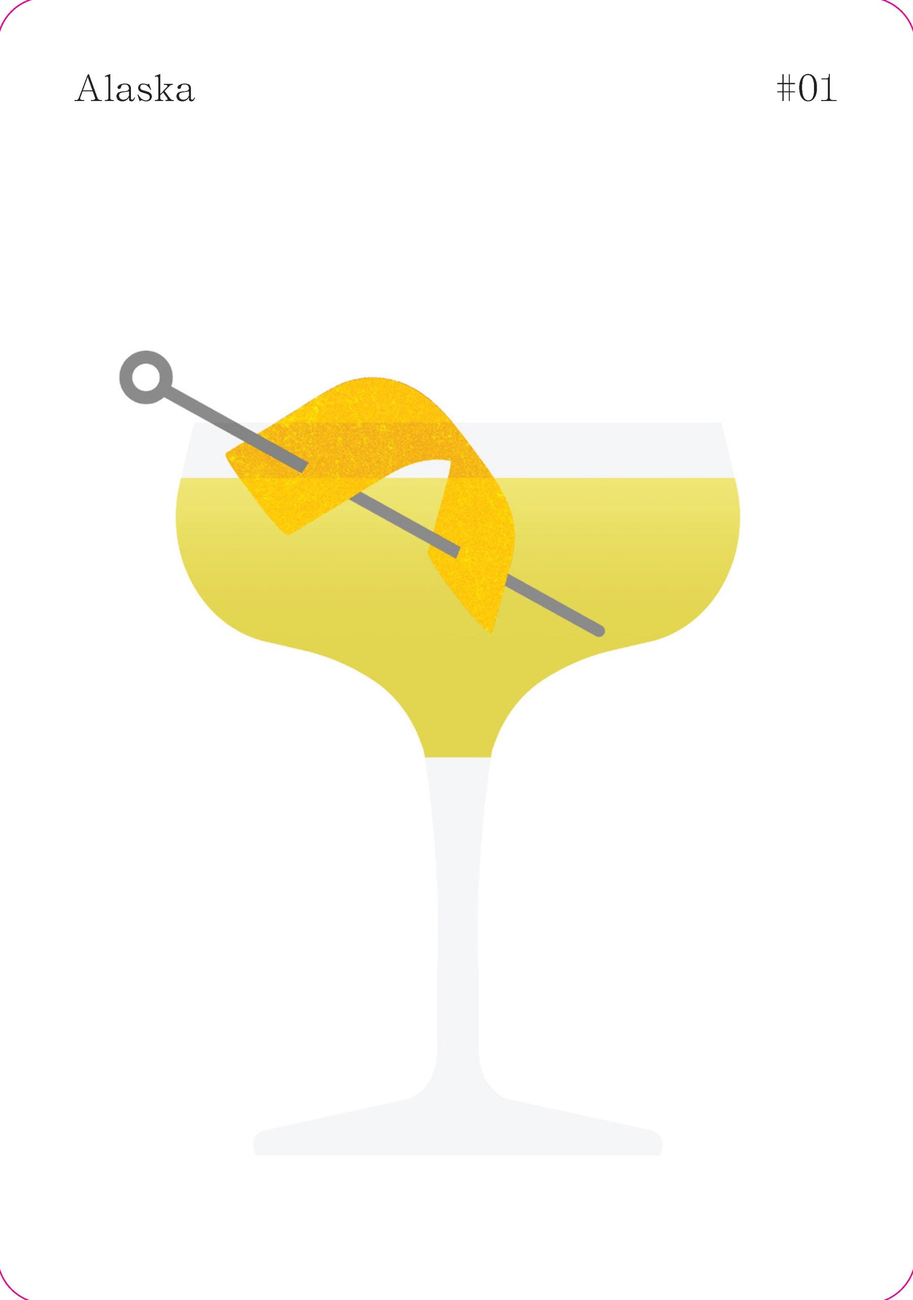 Cocktail Cabinet Gin Book