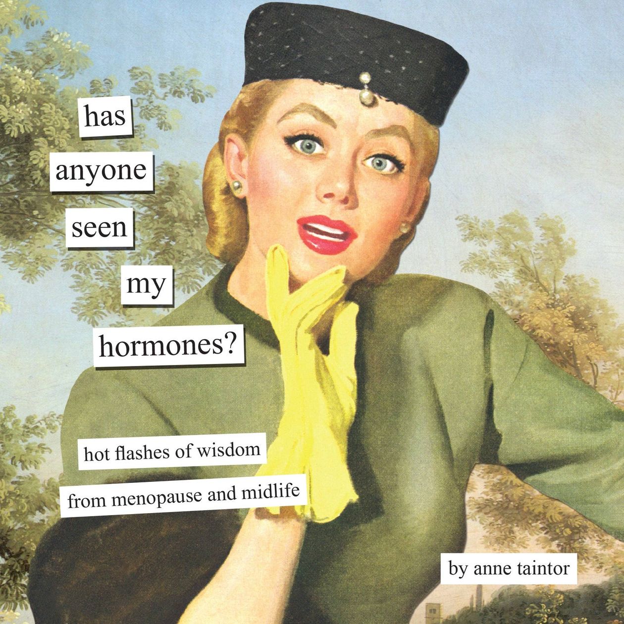 Rose & Lee Co Has Anyone Seen My Hormones? Book Home & Gifts
