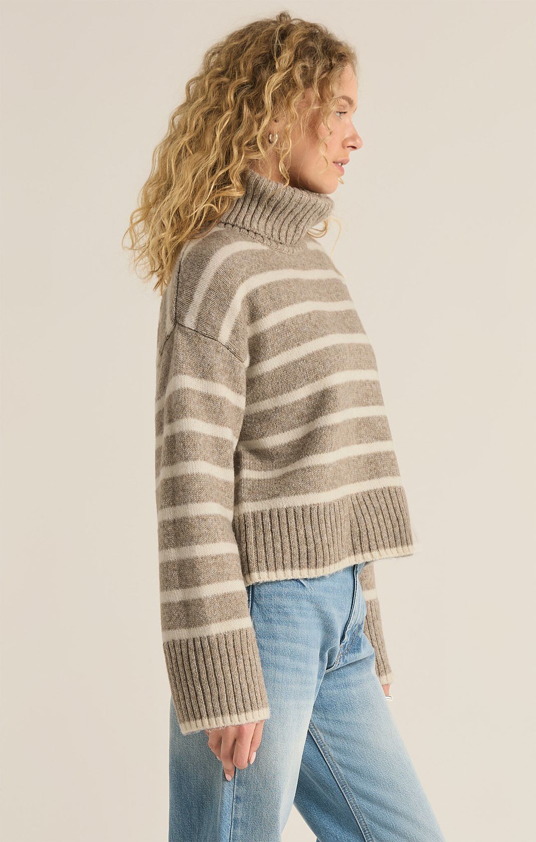 Taupe Long Sleeve Striped Turtleneck Sweater