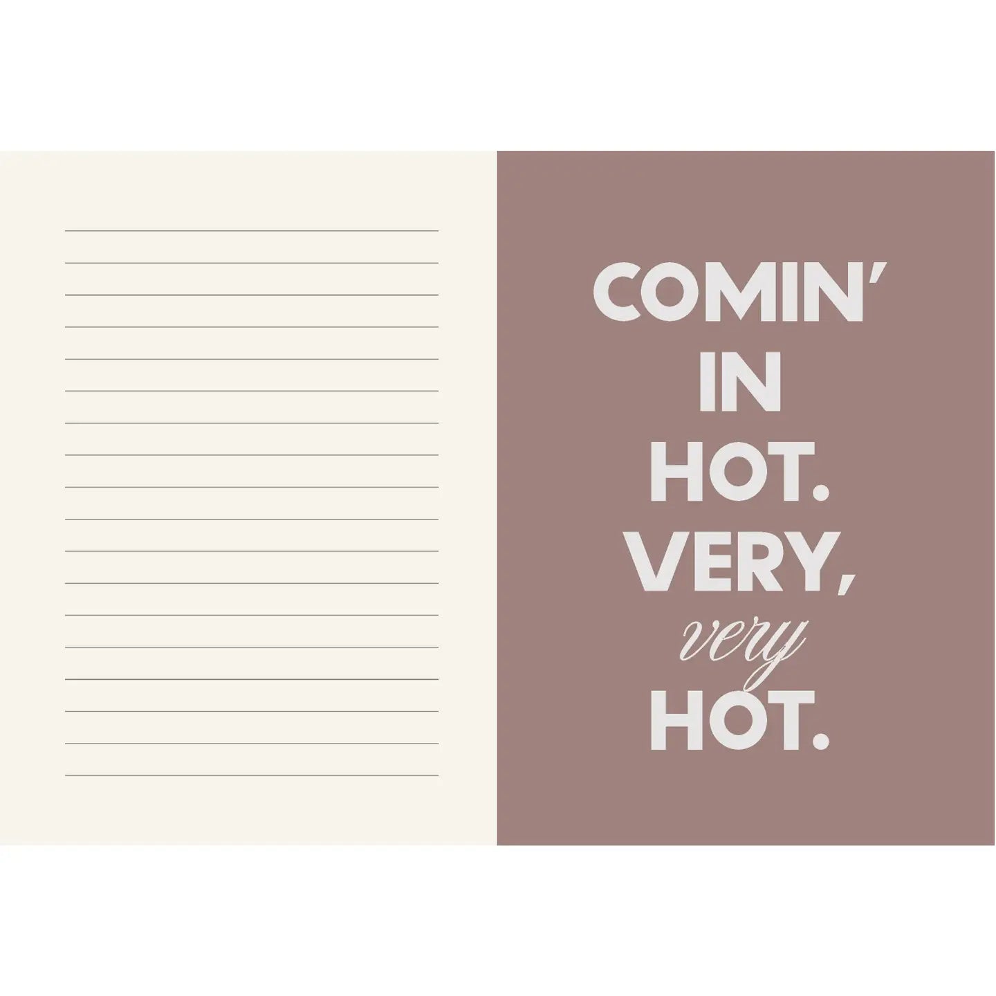 F*CK Menopause Pink Journal