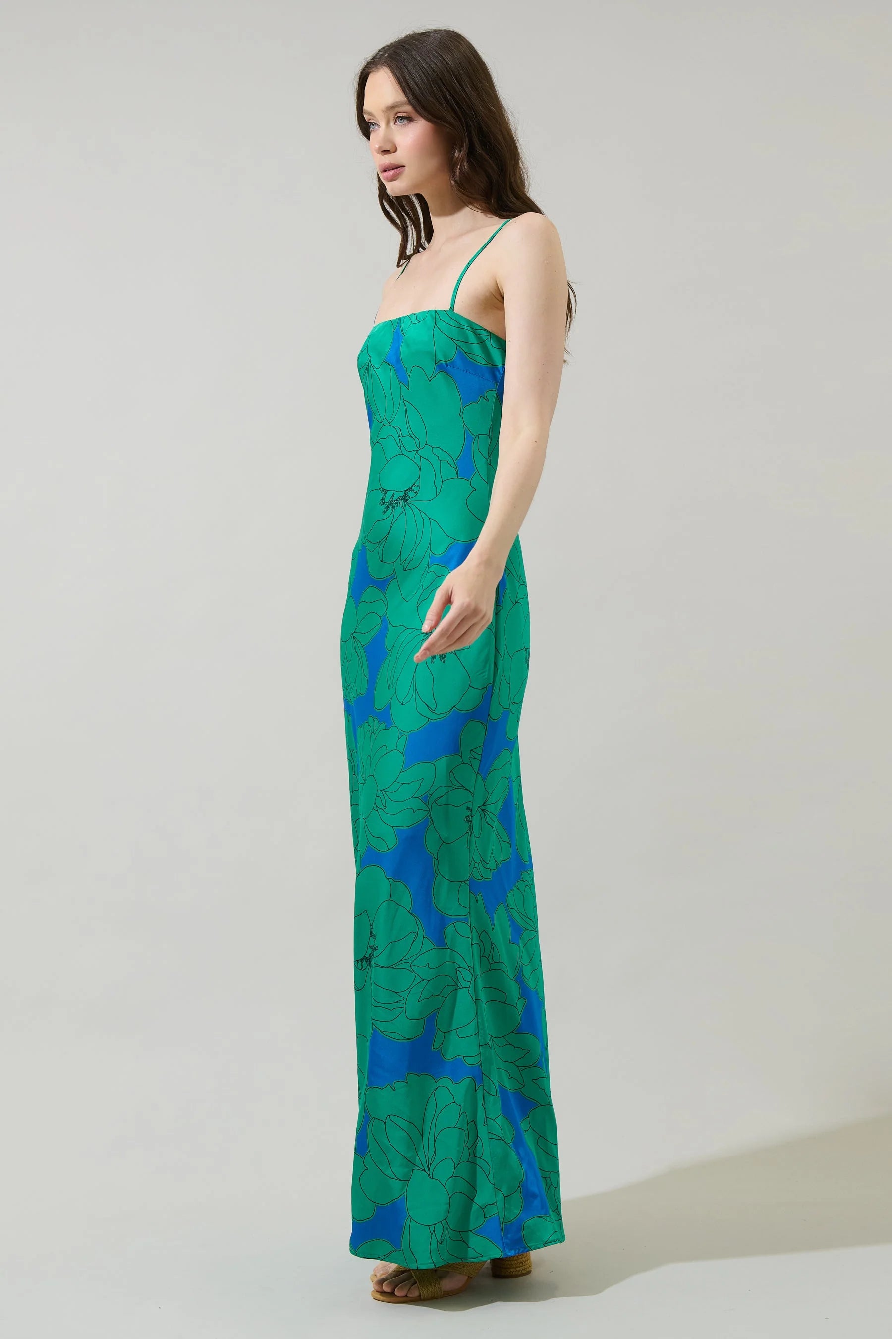 Blue/Green Floral Sleeveless Maxi Dress