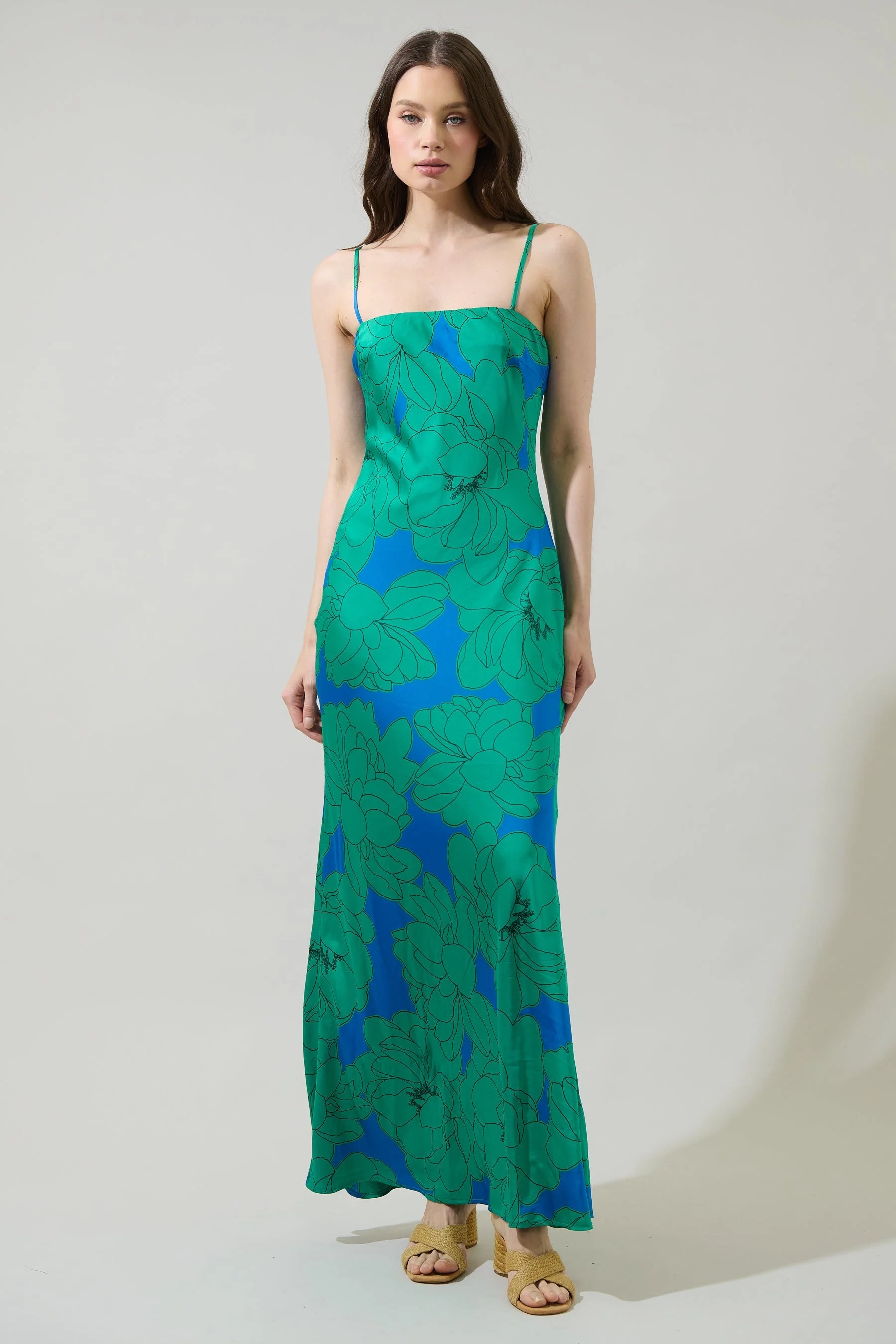 Blue/Green Floral Sleeveless Maxi Dress