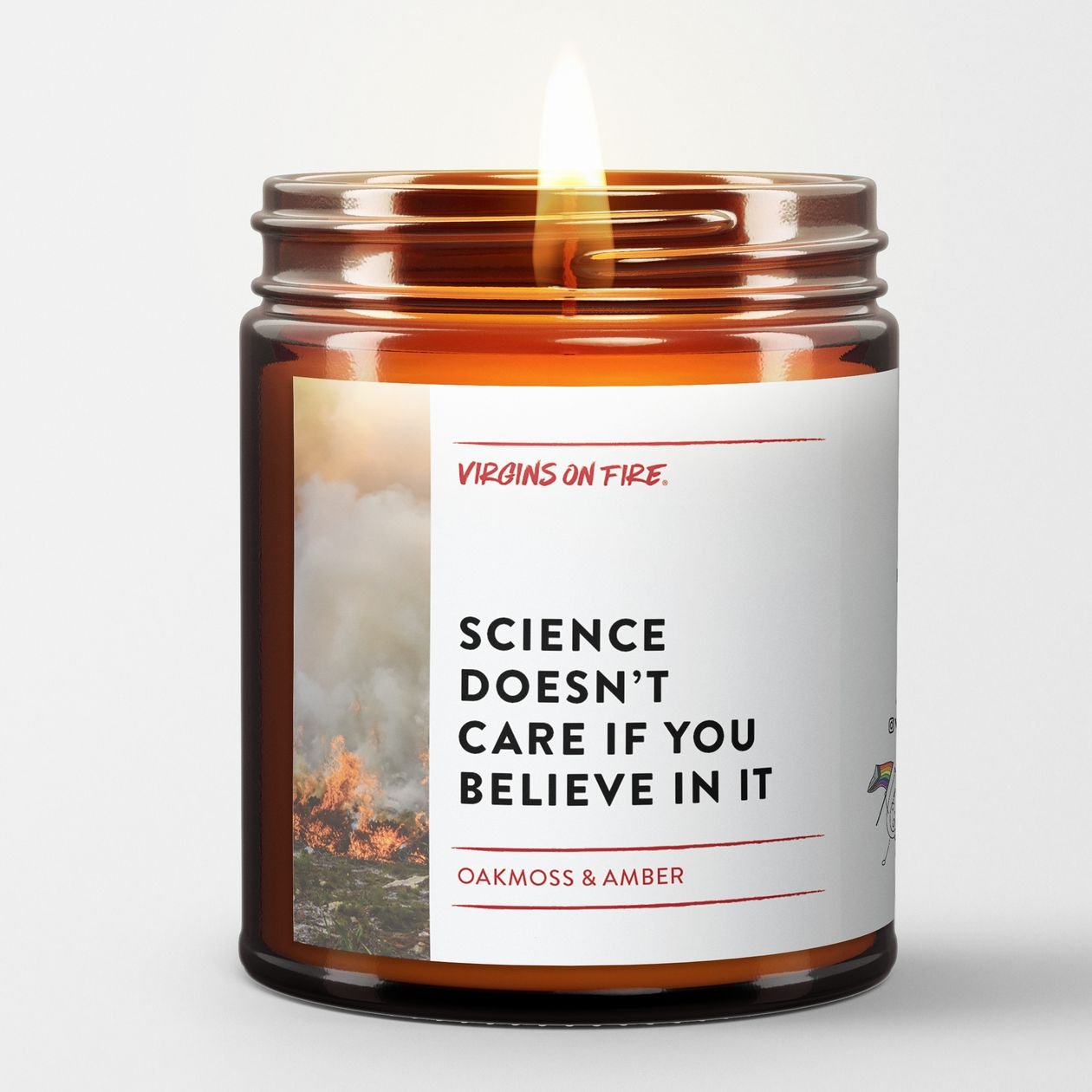 Rose & Lee Co Science Doesn't Care If You Believe In It Candle, Oakmoss & Amber Candles